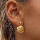 Mystic Shell 18k Gold Plated Earrings