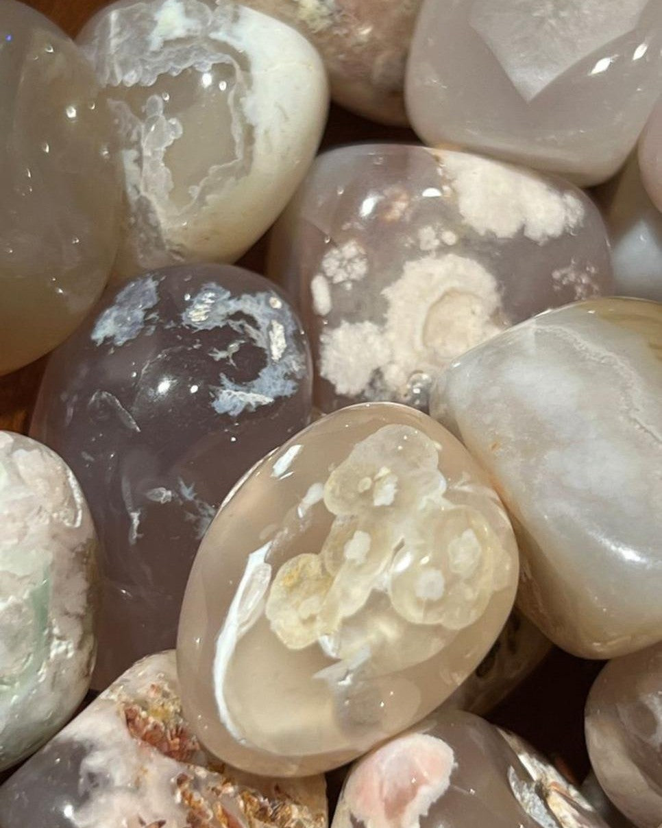 Polished Ocean Flower Agate Gallets Madagascar