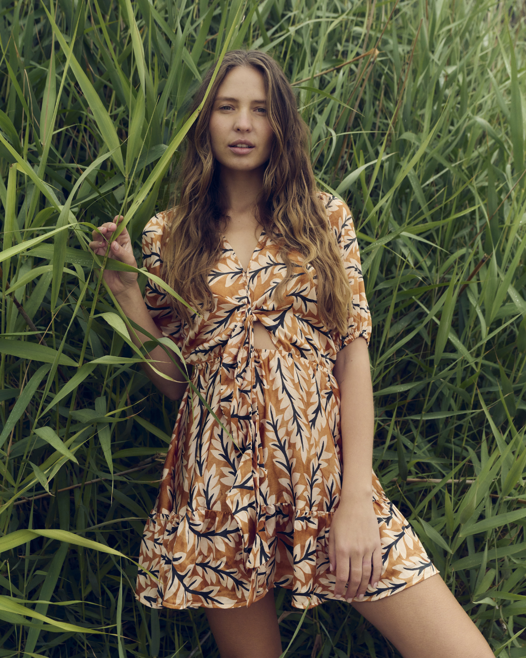 Autumn Foliage Sienna